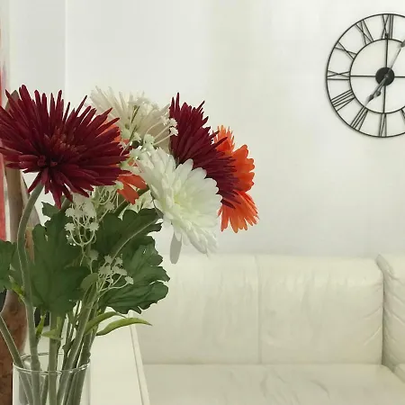 Appartement Studio Vip *